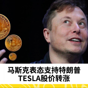 马斯克表态支持特朗普 TESLA股价转涨