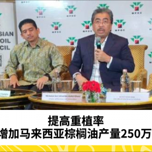 提升重植率可增加马来西亚棕榈油产量250万吨