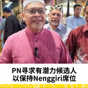 潜力候选人助PN保住Nenggiri