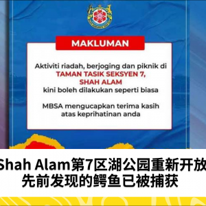 Shah Alam第7区湖公园重新开放，先前发现的鳄鱼已被捕获