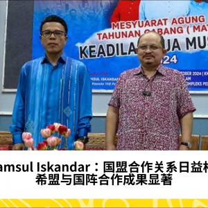 Shamsul Iskandar：国盟合作关系日益松散，希盟与国阵合作成果显著