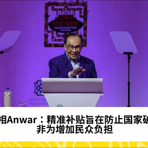 精准补贴防止国家破产，非为增加民众负担 - 首相Anwar