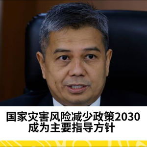 国家灾害风险减少政策2030成为主要指导方针 - 国家灾害管理机构