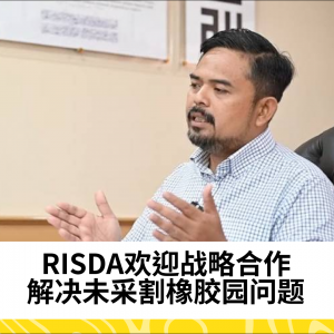 RISDA推动战略合作，助力恢复未采割橡胶园地