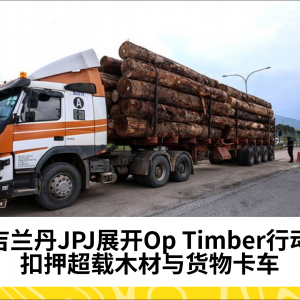 吉兰丹JPJ展开Op Timber行动 扣押超载木材与货物卡车