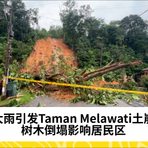 大雨引发Taman Melawati土崩，树木倒塌影响居民区