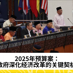 2025年预算案：政府深化经济改革的关键契机