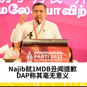 Najib道歉1MDB丑闻无意义，DAP强烈回应