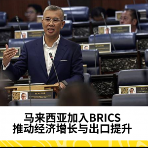 马来西亚加入BRICS：推动经济增长与出口提升 - Tengku Zafrul