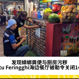 Batu Feringghi一餐厅卫生堪忧 被发现蟑螂粪便与厨房污秽遭关闭