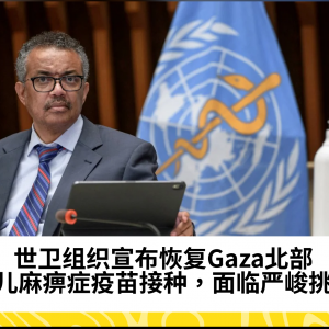 世卫组织宣布在Gaza恢复小儿麻痹症疫苗接种计划，儿童健康面临严峻挑战