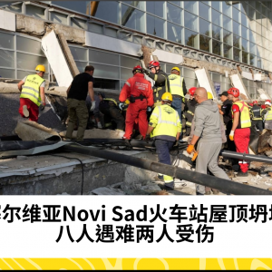 塞尔维亚Novi Sad火车站屋顶坍塌致八人死亡，救援行动紧急展开