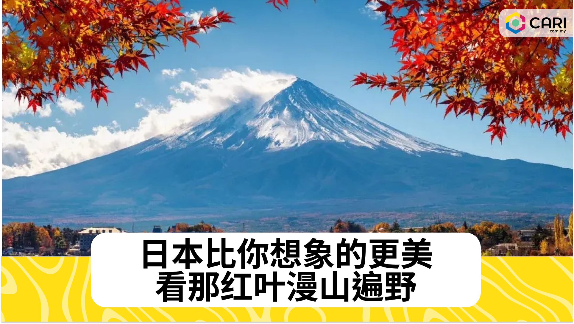 日本比你想象的更美 看那红叶漫山遍野