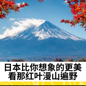 日本比你想象的更美 看那红叶漫山遍野