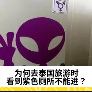 为何去泰国旅游时 看到紫色厕所不能进？