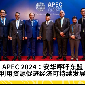 APEC 2024：安华呼吁东盟利用资源促进经济可持续发展