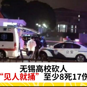 无锡工艺职业技术学院发生持刀伤人事件，致8死17伤