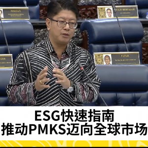 ESG快速指南发布，推动PMKS进入国际市场