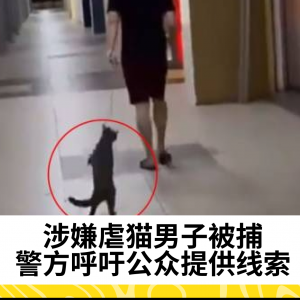 警方逮捕涉嫌虐猫男子