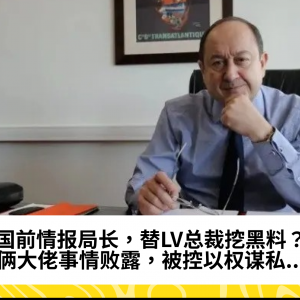 法国前情报局长，替LV总裁挖黑料？！俩大佬事情败露，被控以权谋私...