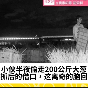 小伙半夜偷走200公斤大葱，被抓后的借口，这离奇的脑回路