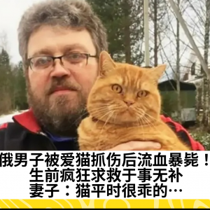 俄男子被爱猫抓伤后流血暴毙！生前疯狂求救于事无补，妻子：猫平时很乖的…