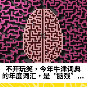 不开玩笑，今年牛津词典的年度词汇，是“脑残”....