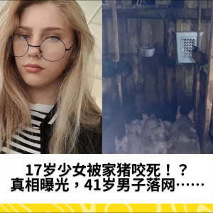 17岁少女被家猪咬死！？真相曝光，41岁男子落网……