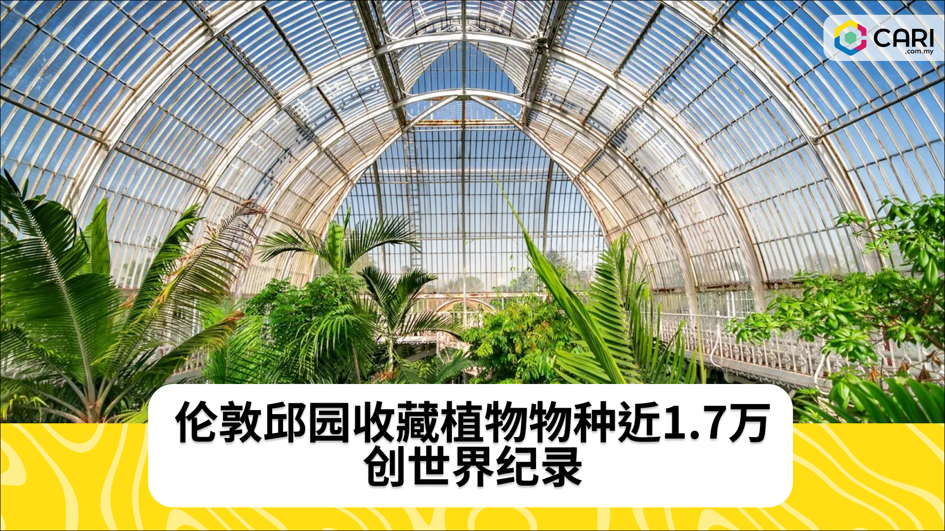 伦敦邱园收藏植物物种近1.7万 创世界纪录