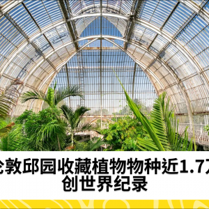 伦敦邱园收藏植物物种近1.7万 创世界纪录