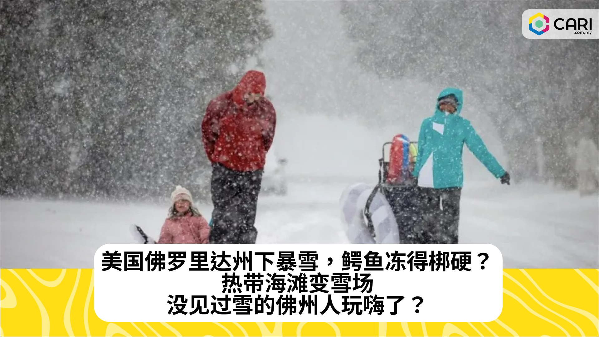 美国佛罗里达州下暴雪，鳄鱼冻得梆硬？热带海滩变雪场，没见过雪的佛州人玩嗨了？