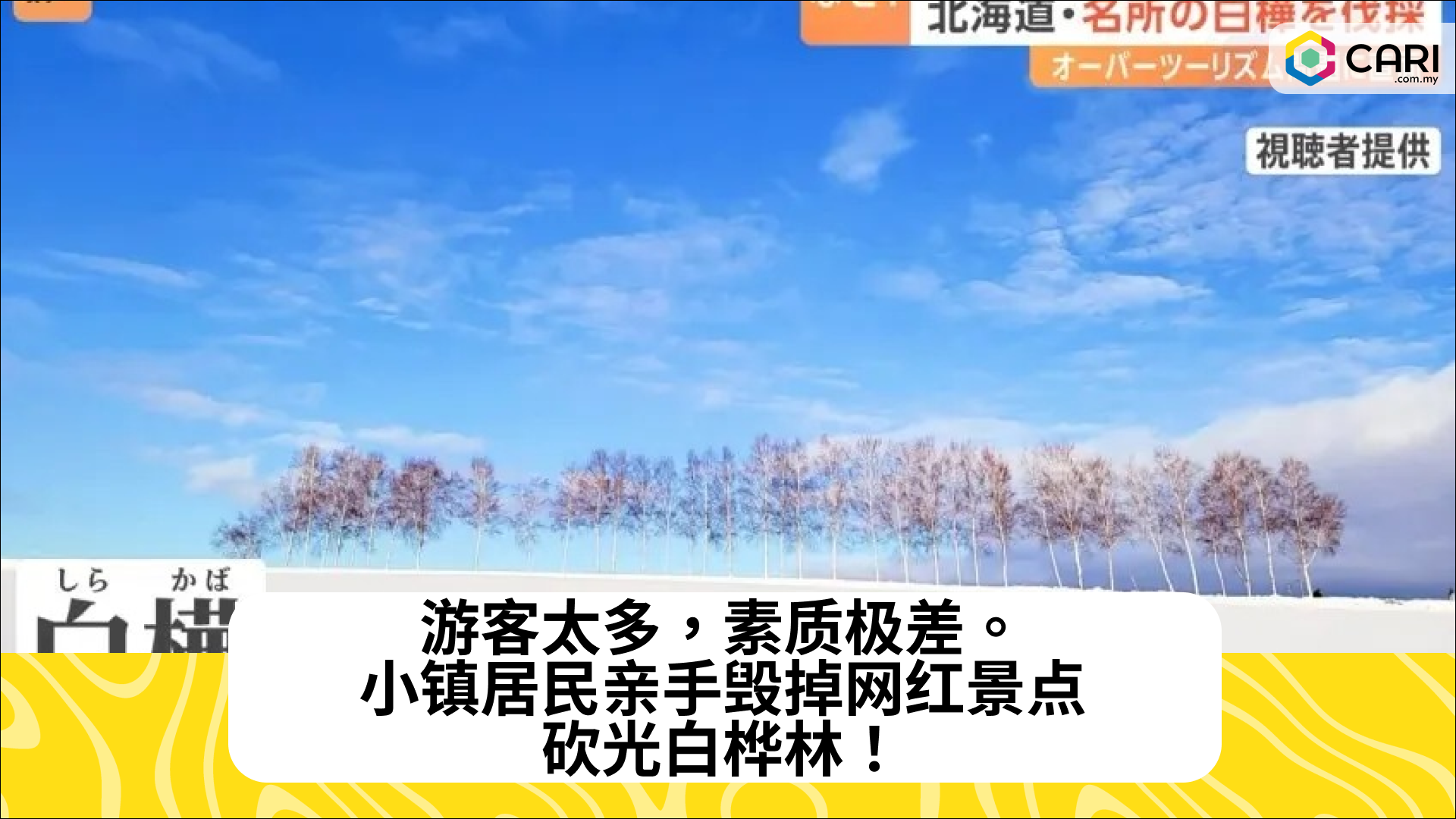 游客太多，素质极差。小镇居民亲手毁掉网红景点，砍光白桦林！