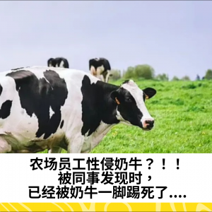 农场员工性侵奶牛？！！被同事发现时，已经被奶牛一脚踢死了....