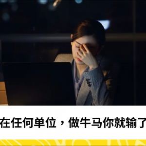 在任何单位，做牛马你就输了