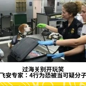 过海关别开玩笑，飞安专家：4行为恐被当可疑分子