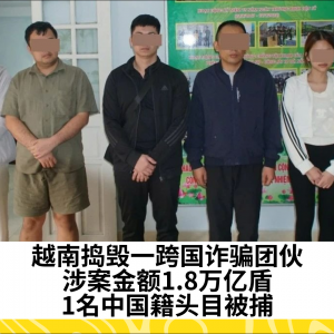 越南捣毁一跨国诈骗团伙，涉案金额1.8万亿盾，1名中国籍头目被捕