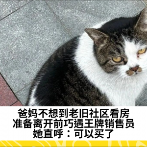 爸妈不想到老旧社区看房，准备离开前巧遇王牌销售员她直呼：可以买了