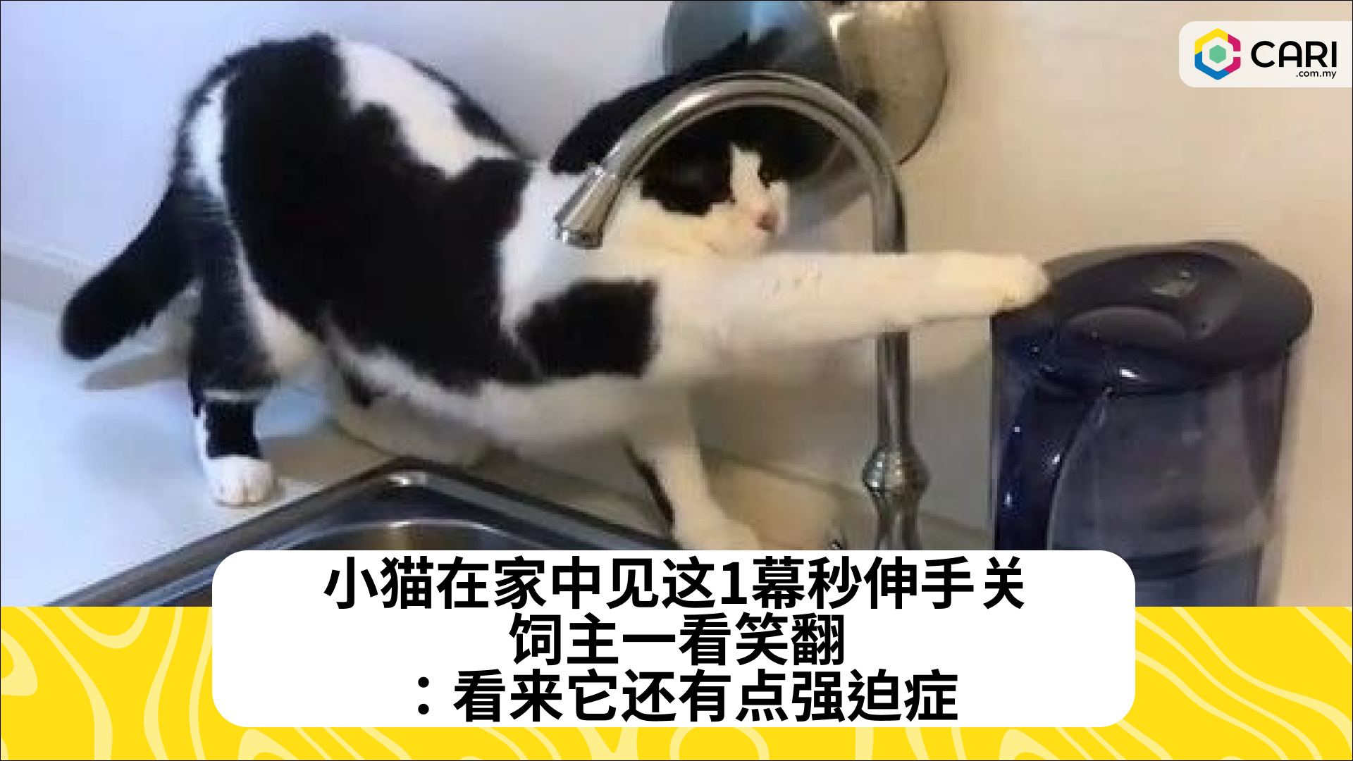 小猫在家中见这1幕秒伸手关，饲主一看笑翻：看来它还有点强迫症