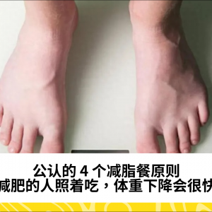 公认的 4 个减脂餐原则，减肥的人照着吃，体重下降会很快
