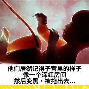 他们居然记得子宫里的样子：像一个深红房间，然后变黑，被拖出去...