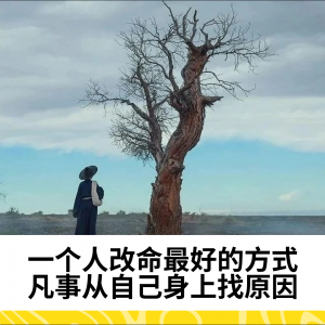 一个人改命最好的方式：凡事从自己身上找原因