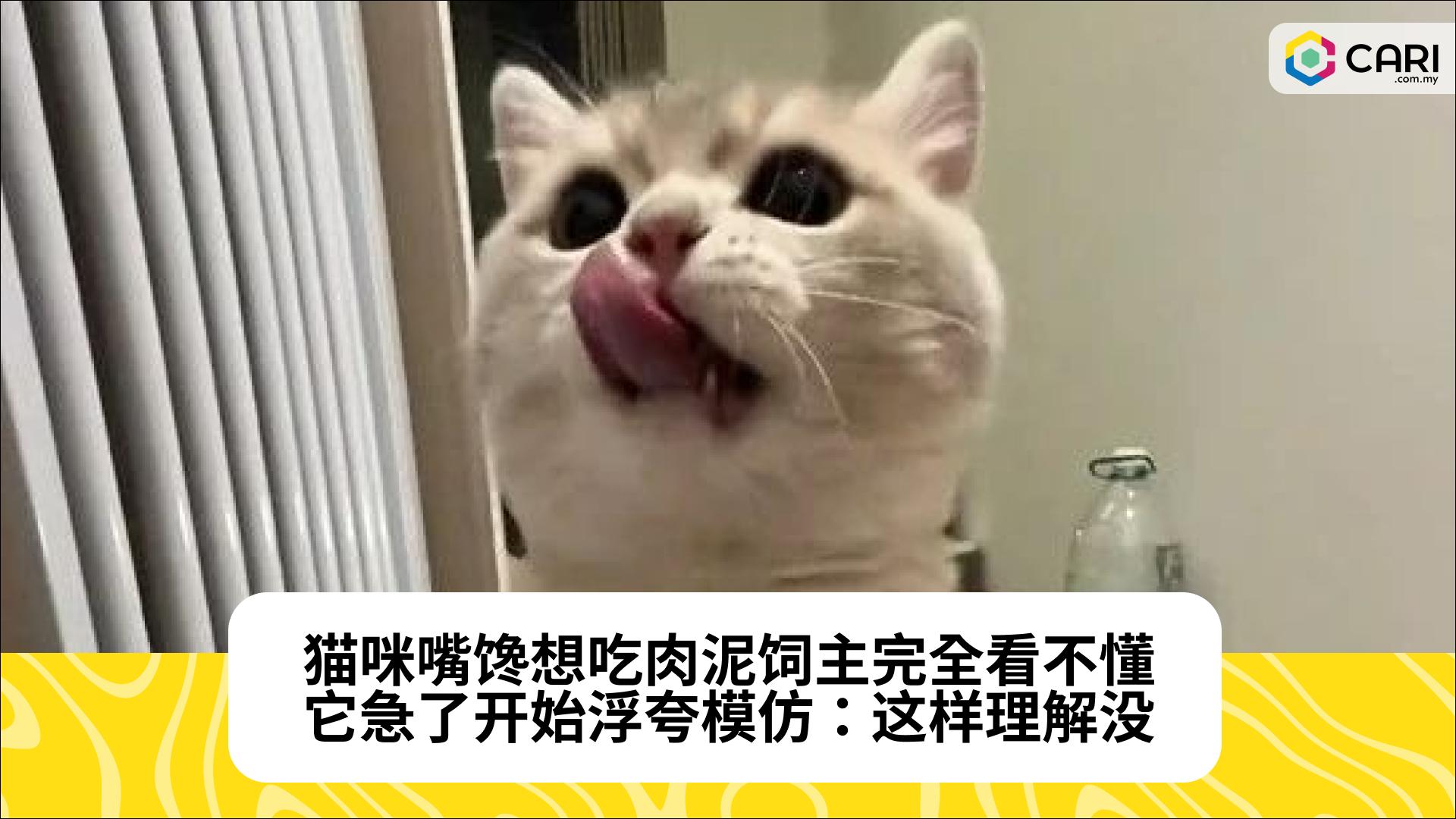 猫咪嘴馋想吃肉泥饲主完全看不懂，它急了开始浮夸模仿：这样理解没