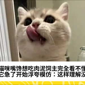 猫咪嘴馋想吃肉泥饲主完全看不懂，它急了开始浮夸模仿：这样理解没