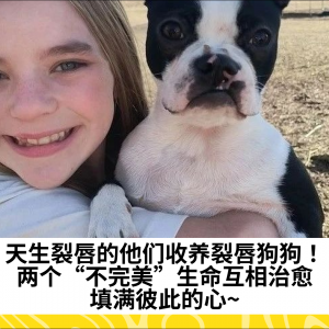 天生裂唇的他们收养裂唇狗狗！两个“不完美”生命互相治愈，填满彼此的心~