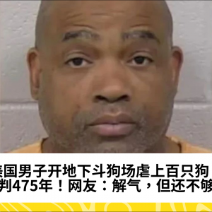 美国男子开地下斗狗场虐上百只狗！被判475年！网友：解气，但还不够！