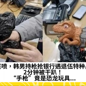 笑喷，韩男持枪抢银行遇退伍特种兵，2分钟被干趴！“手枪”竟是恐龙玩具...