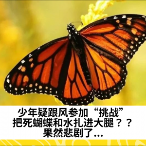 少年疑跟风参加“挑战”，把死蝴蝶和水扎进大腿？？果然悲剧了...