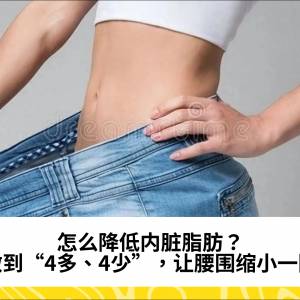 怎么降低内脏脂肪？做到“4多、4少”，让腰围缩小一圈