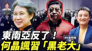 吳明德：各國投名狀！李顯龍夫人嗆習近平似黑社會 馬國送金龍暗寸 越南堵中共「洗產地」
