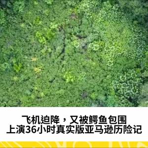 飞机迫降，又被鳄鱼包围，上演36小时真实版亚马逊历险记